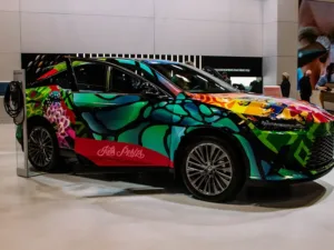 Vehicle wraps