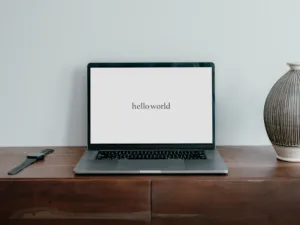 Website design — example 2
